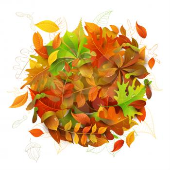 Colourful autumn maple, oak, birch, elm, rowan, chestnut, aspen leaves and acorns on white background. 
