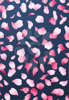 A lot of falling petals on dark blue background. 