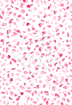 A lot of falling petals on white background. 