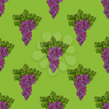Set of bright grape and leaf on green background. Thanksgiving day. Harvest time. Boundless background for your design.