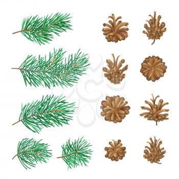 Vector forest collection isolated on white background. Christmas design elements.
