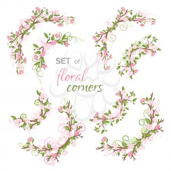 Cherry blossoms and leaves on tree branches. Hand-drawn flourishes. Isolated on white background.