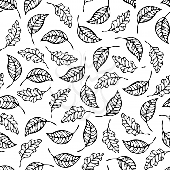 Black doodles ash and oak leaves on white background. Fall or summer boundless background. Tileable elements.