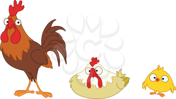 Funny chicken family
