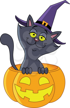 Halloween cat sitting in a pumpkin