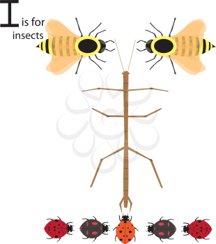 Royalty Free Clipart Image of Insects making the letter 'I'