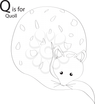 Royalty Free Clipart Image of a quoll making the letter Q