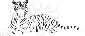 Royalty Free Clipart Image of a tiger