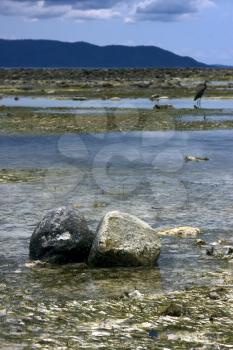 nosy iranja, madagascar lagoon ,rock coastline and a bird