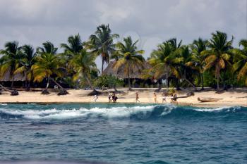  ocean coastline  cabin  house palm and tree in  republica dominicana