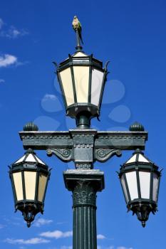 old green street lamp parrot and clouds in  buenos aires argentina
