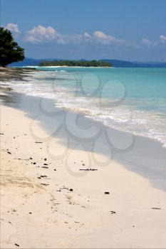 beach and sand  in nosy be  madagascar ,lowtide 