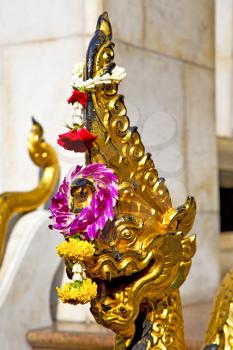   in the temple bangkok asia   thailand abstract cross        step     wat  palaces   
