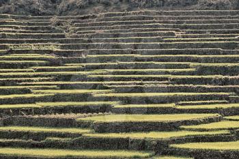 in  philippines  terrace field for coultivation of rice  from banaue unesco site 
