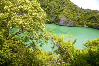  coastline of a green lagoon and tree  south china sea thailand kho phangan  bay  