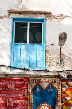 blue window in morocco africa old construction and brown wall red carpet  