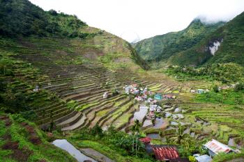 blur  in  philippines  terrace field for coultivation of rice  from banaue unesco site 
