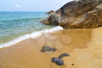 kho samui   bay asia isle white  beach  tree  rocks in thailand  and south china sea 