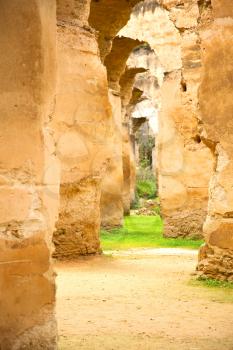 old moroccan granary in the green grass and archway  wall