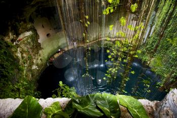 cenote ill kill mexico the plant and the water in the hole