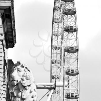 lion  london eye in the spring sky and white clouds
