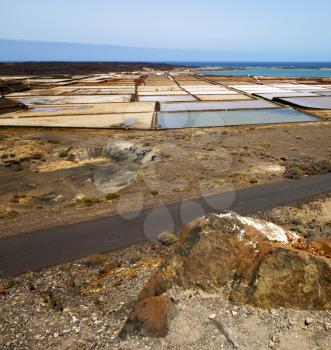 salt in  lanzarote spain musk pond rock stone sky  water  coastline and summer 
