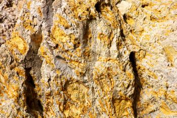 abstract texture rock  lanzarote spain  of a broke  stone and lichens 
