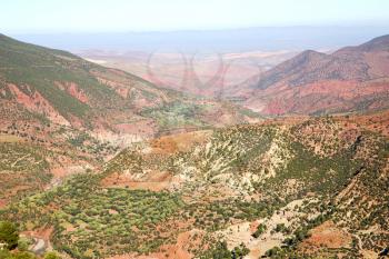 dades valley in  atlas moroco   africa ground tree  and nobody