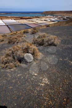 water coastline salt in  lanzarote spain musk pond rock stone sky     and summer 
