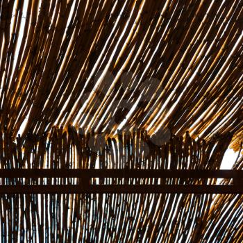 morocco abstract bamboo roof in the    africa  sky
