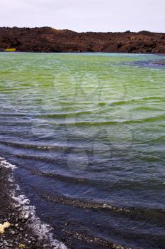 plant stone  atlantic ocean sky  water lanzarote in el golfo  spain musk pond rock  coastline and summer 
