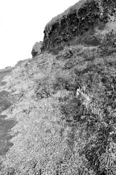 santorini    europe    greece and dry bush rock alone in the sky 