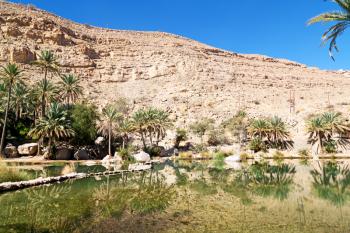   oman old mountain and water in canyon wadi oasi nature paradise
