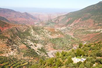 dades valley in atlas moroco africa ground tree  and nobody