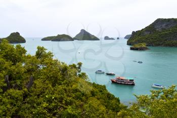   boat coastline of a green lagoon  and tree  south china sea thailand kho phangan   bay  