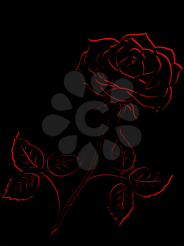 Red outline of single rose flower isolated on a black background, vector illustration