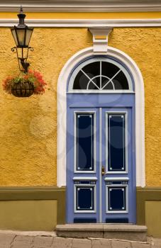 Color front door with lamp and flowerpot