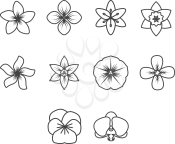 Collection of flower icon vector