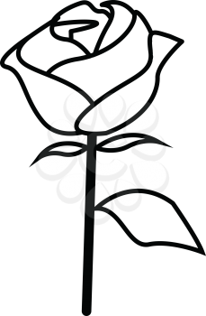 Simple thin line rose icon vector