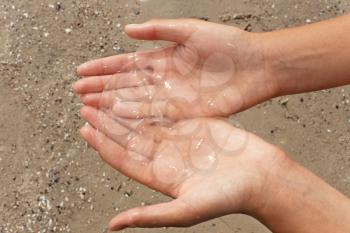 The small translucent jellyfish in women's hands on the fuzzy sand background