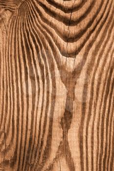 Structure macro of new wooden cutting board. Sepia