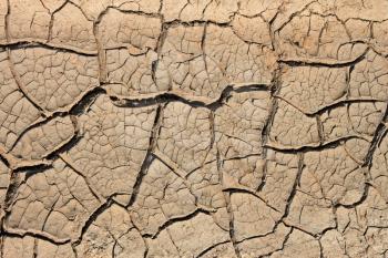 Many cracks in the dried soil in arid season as a texture 