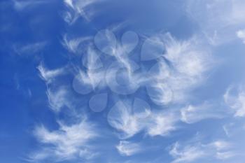 Group of fanciful white clouds against the background of blue sky