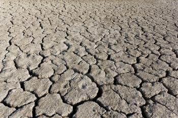 Grey cracked soil surface of dried lake in hot summertime