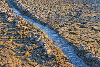 Small water stream flowing in the channel on dried cracked earth in hot summertime