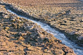 Small water stream flowing in the channel among dried cracked earth in hot summertime