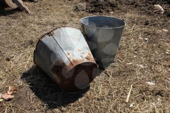 Rusty bucket in the yard 19666