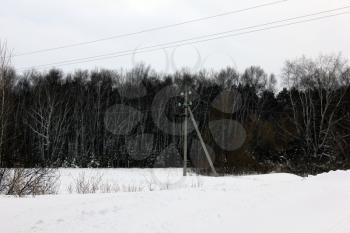 Power lines in winter woods 30002