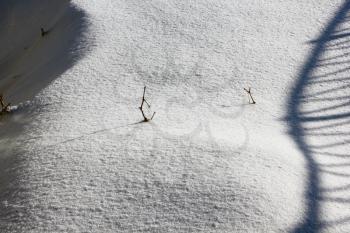 Abstract background of fresh snow texture 30159