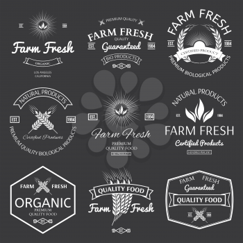 farm fesh vector badges for any use illustration